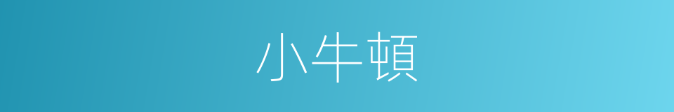 小牛頓的同義詞