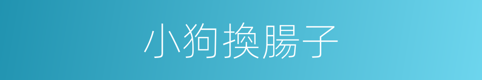 小狗換腸子的意思