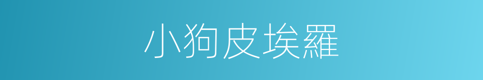 小狗皮埃羅的同義詞