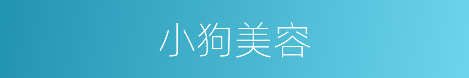 小狗美容的同义词