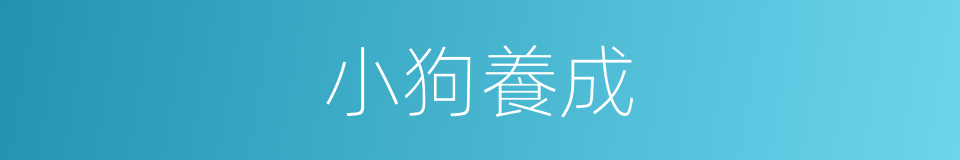 小狗養成的同義詞