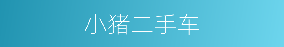 小猪二手车的同义词
