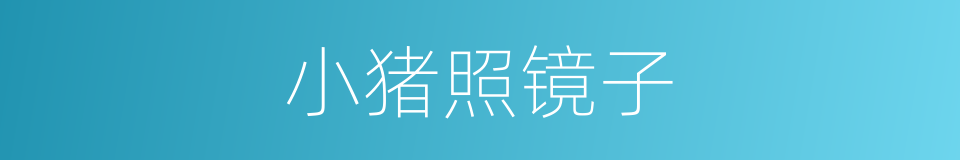 小猪照镜子的同义词