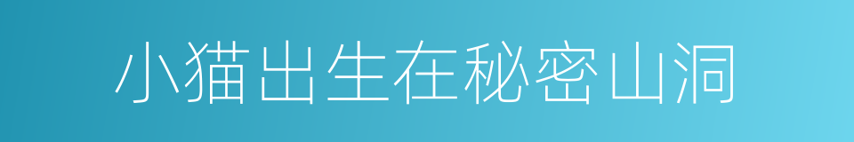 小猫出生在秘密山洞的同义词