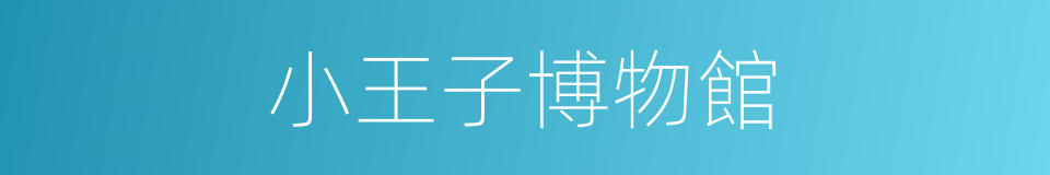 小王子博物館的同義詞