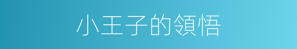 小王子的領悟的同義詞