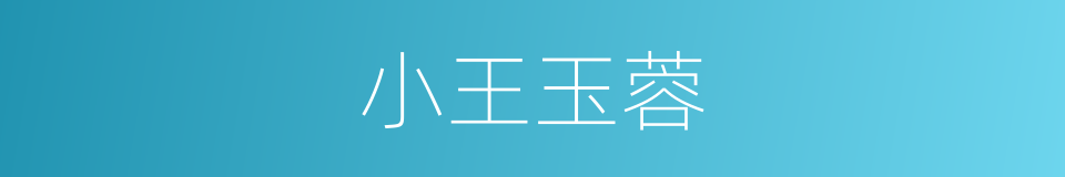 小王玉蓉的同义词