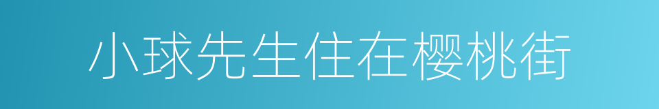 小球先生住在樱桃街的同义词