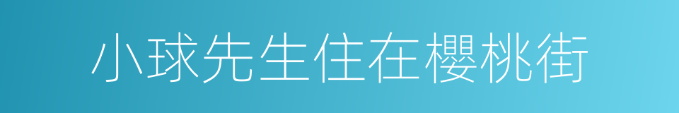 小球先生住在櫻桃街的同義詞