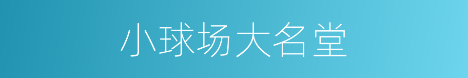 小球场大名堂的同义词