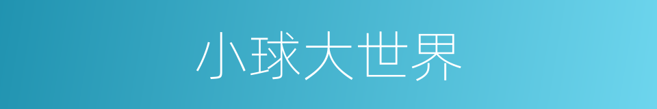 小球大世界的同义词
