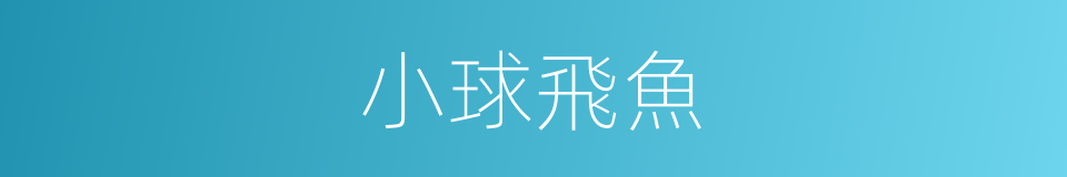 小球飛魚的同義詞