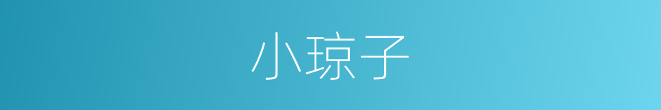 小琼子的同义词