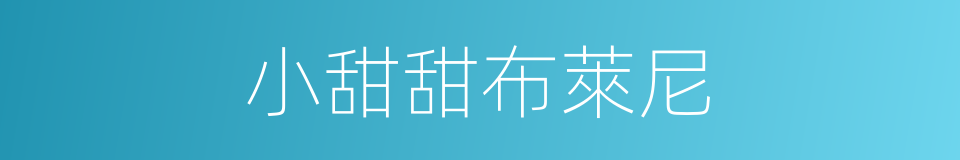 小甜甜布萊尼的同義詞