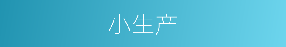 小生产的意思
