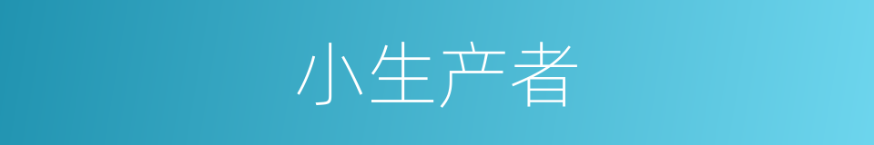 小生产者的意思