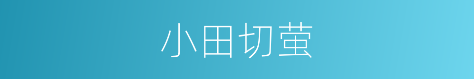小田切萤的同义词