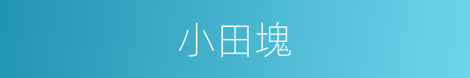 小田塊的同義詞