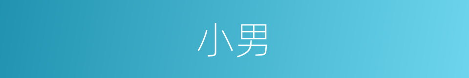 小男的意思