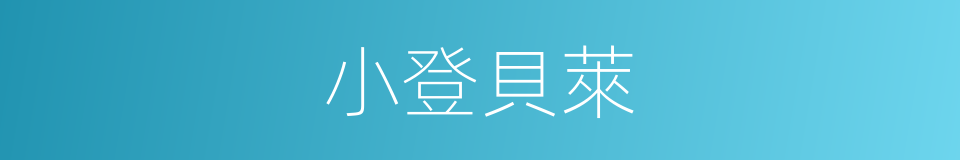 小登貝萊的同義詞