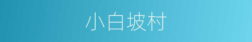 小白坡村的同义词