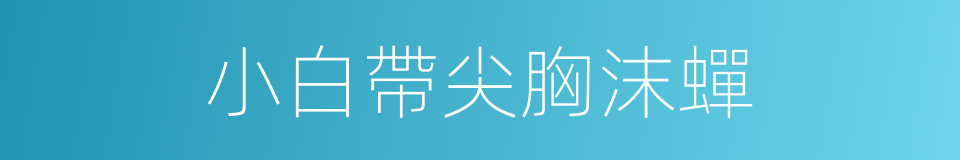 小白帶尖胸沫蟬的同義詞