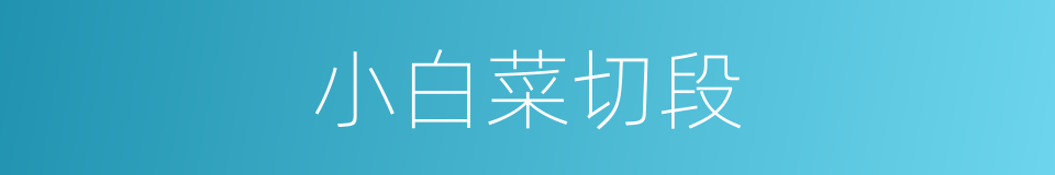 小白菜切段的同义词