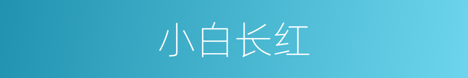 小白长红的意思