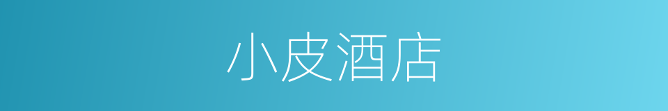 小皮酒店的同义词