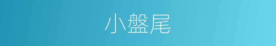 小盤尾的同義詞