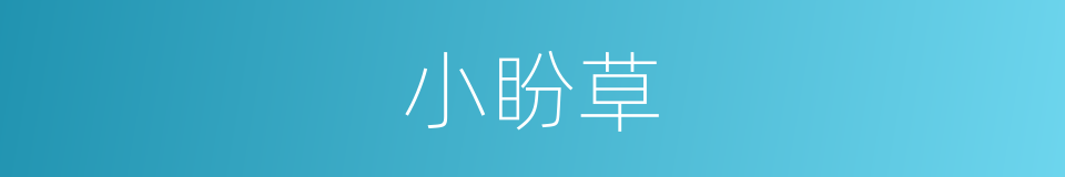 小盼草的同义词