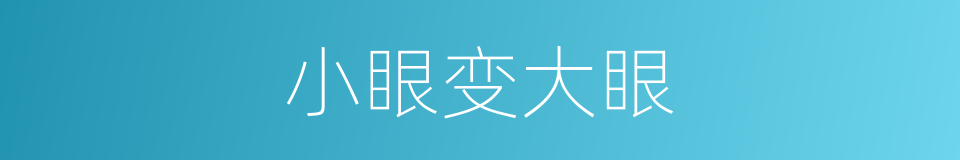 小眼变大眼的同义词