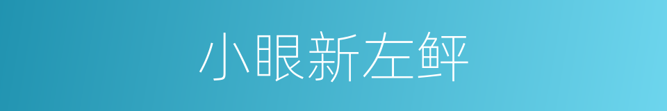 小眼新左鲆的同义词