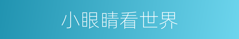 小眼睛看世界的同义词