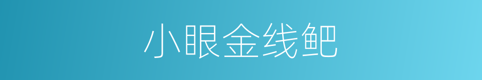 小眼金线鲃的同义词