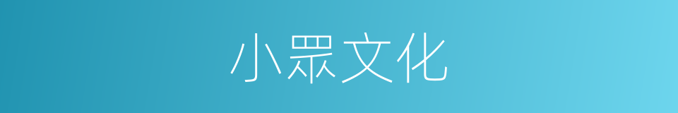 小眾文化的意思