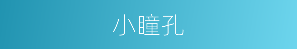 小瞳孔的同义词