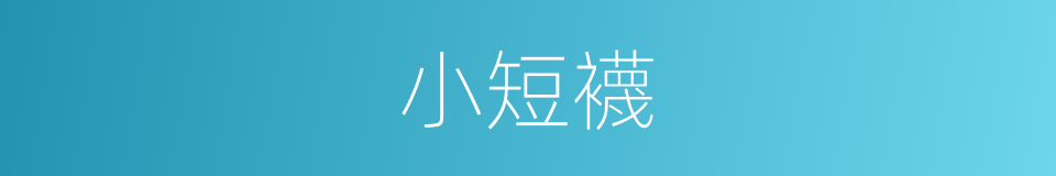 小短襪的同義詞