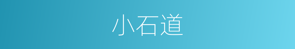 小石道的同义词