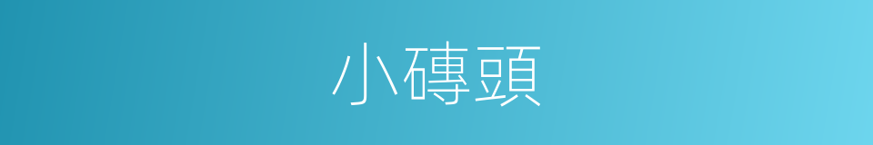 小磚頭的同義詞