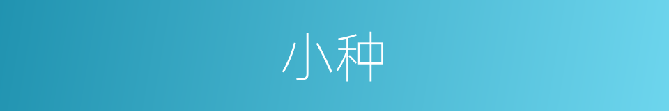 小种的意思