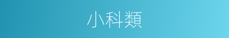 小科類的同義詞