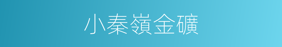 小秦嶺金礦的同義詞