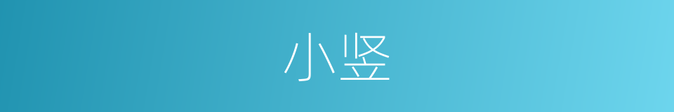 小竖的意思