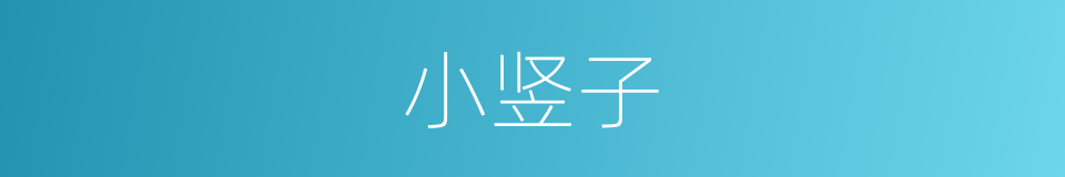小竖子的意思