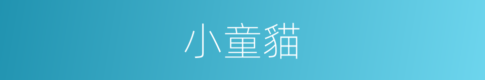 小童貓的同義詞