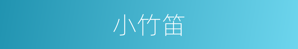 小竹笛的同义词
