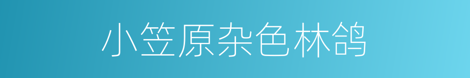 小笠原杂色林鸽的同义词