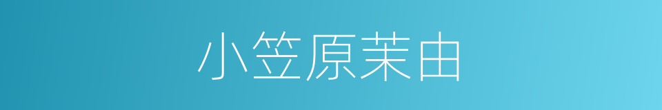 小笠原茉由的同义词
