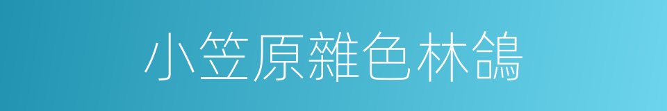小笠原雜色林鴿的同義詞